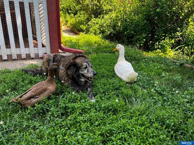 3615 S 15 Street, Lincoln, NE 68502