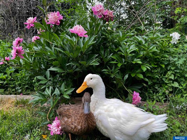 3615 S 15 Street, Lincoln, NE 68502