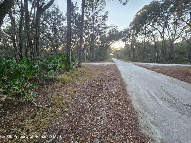 0 Rosehill Drive, Webster, FL 33597