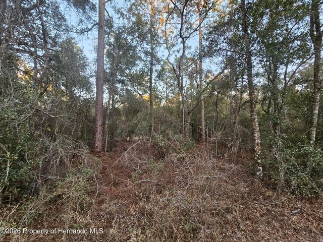 0 Rosehill Drive, Webster, FL 33597