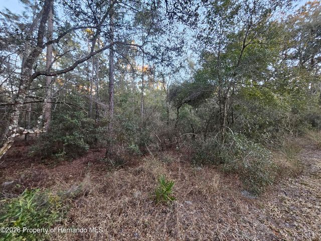 0 Rosehill Drive, Webster, FL 33597