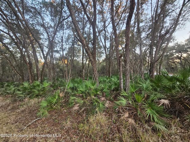 0 Rosehill Drive, Webster, FL 33597