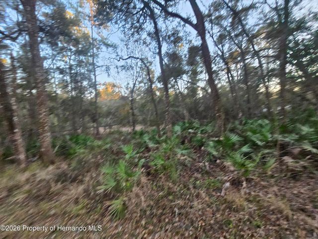 0 Rosehill Drive, Webster, FL 33597