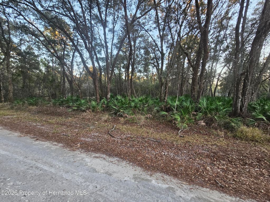 0 Rosehill Drive, Webster, FL 33597