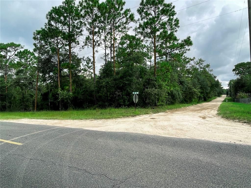 30TH STREET, Morriston, FL 32668