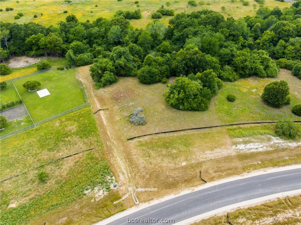 10716 Cook Crossing, College Station, TX 77845 — photo 4