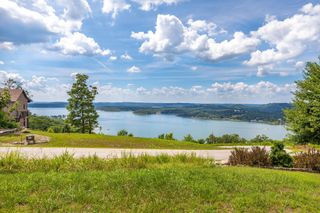 Tbd The Lodges Drive, Lampe, MO 65681
