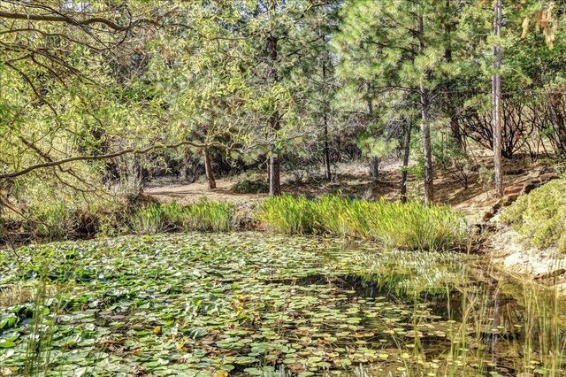 13629 Oak Forest Dr, Grass Valley, CA 95945