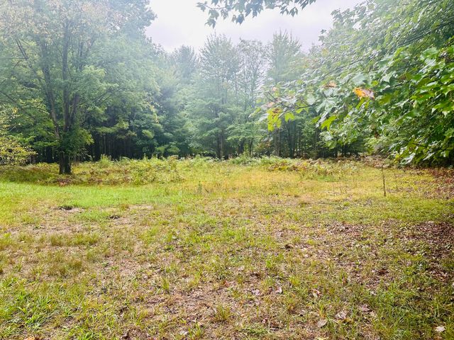 1505 N Green Creek Road, Laketon Twp, MI 49445