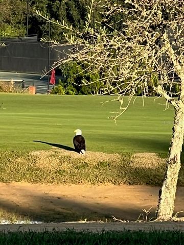 16650 BOLSENA DRIVE, Montverde, FL 34756