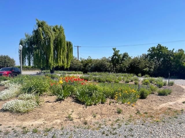 7669 E Conejo Avenue, Selma, CA 93662