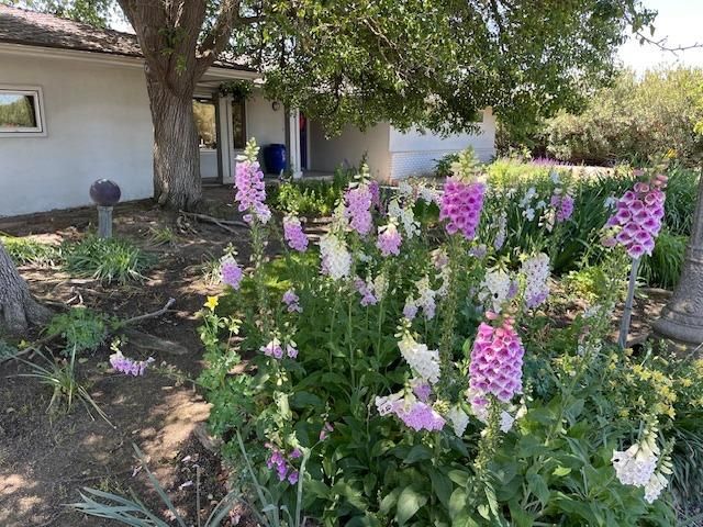 7669 E Conejo Avenue, Selma, CA 93662