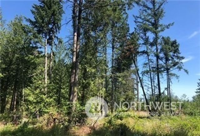 21800 70th Avenue E, Spanaway, WA 98387