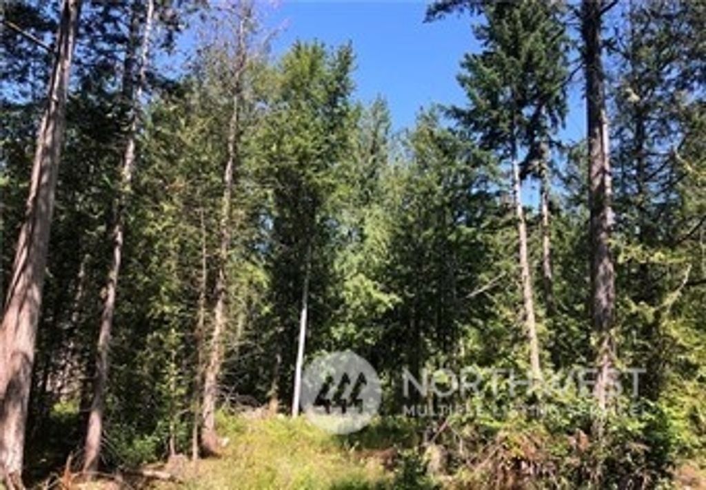 21800 70th Avenue E, Spanaway, WA 98387