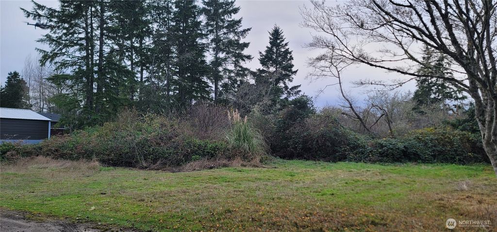 0 Y LN, Ocean Park, WA 98640