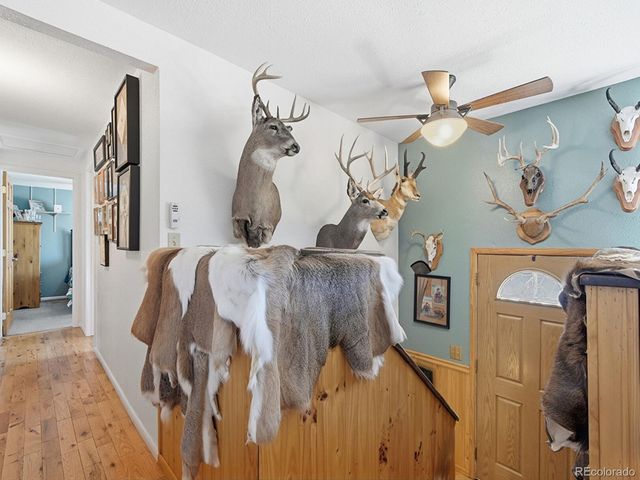 399 Conifer Drive, Bailey, CO 80421