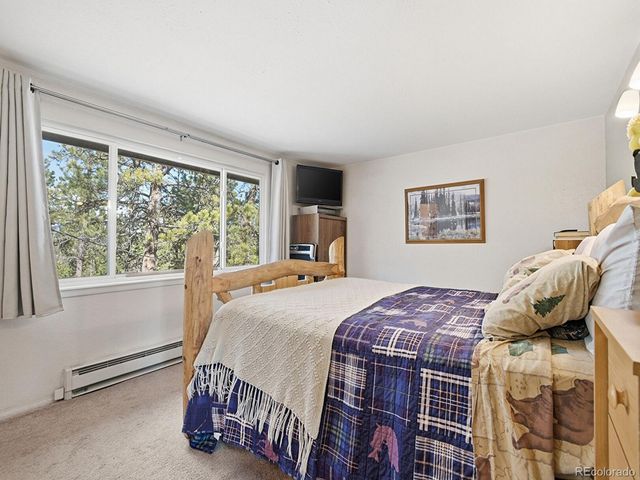 399 Conifer Drive, Bailey, CO 80421