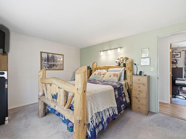 399 Conifer Drive, Bailey, CO 80421