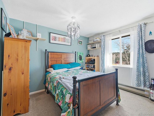 399 Conifer Drive, Bailey, CO 80421