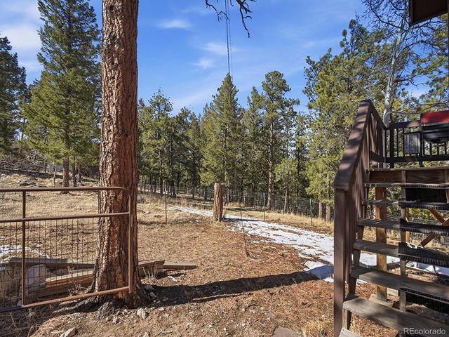399 Conifer Drive, Bailey, CO 80421