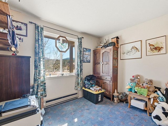 399 Conifer Drive, Bailey, CO 80421