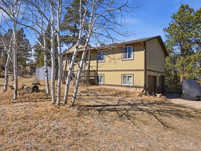 399 Conifer Drive, Bailey, CO 80421