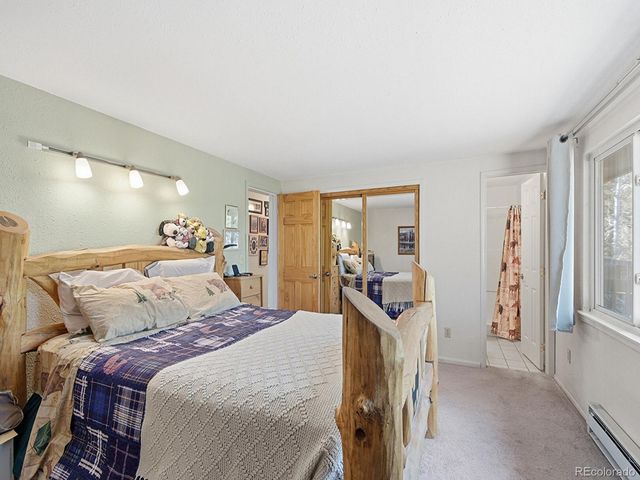 399 Conifer Drive, Bailey, CO 80421