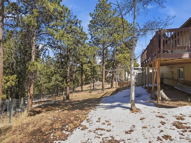 399 Conifer Drive, Bailey, CO 80421