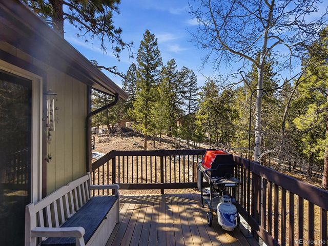 399 Conifer Drive, Bailey, CO 80421