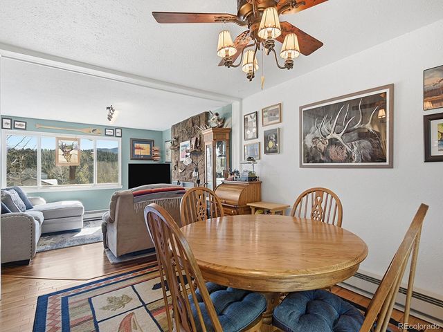 399 Conifer Drive, Bailey, CO 80421