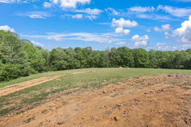233 Lewis Grant Ln, Southside, TN 37171