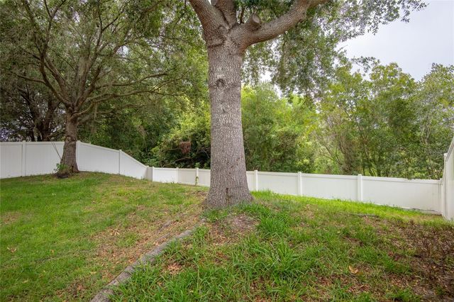 3142 BELLERICAY LANE, Land O Lakes, FL 34638