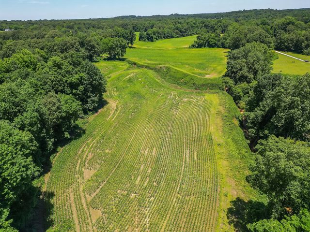 480 Friendship Rd, Medina, TN 38355