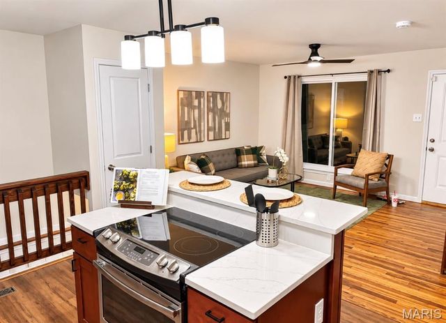 110 E Thornton Avenue, Webster Groves, MO 63119