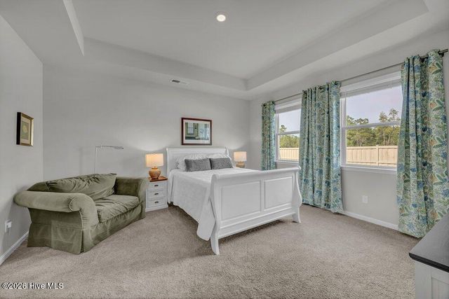 2052 Willowleaf Drive, Leland, NC 28451