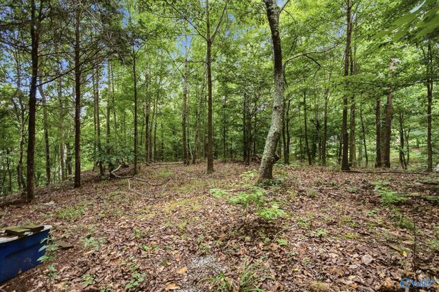 556 Edwards Circle, Laceys Spring, AL 35754