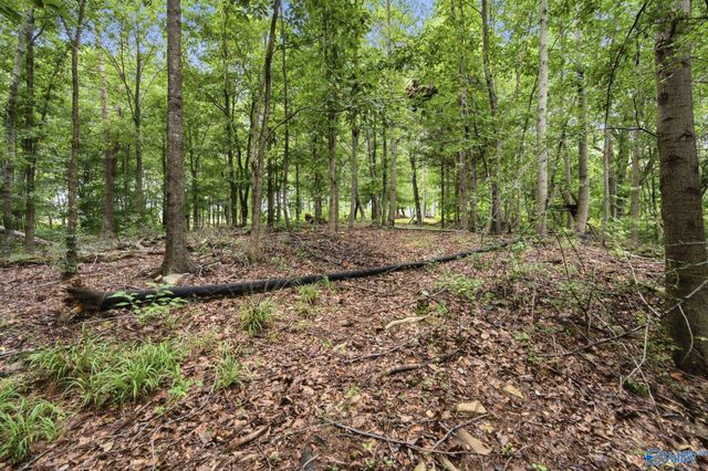 556 Edwards Circle, Laceys Spring, AL 35754