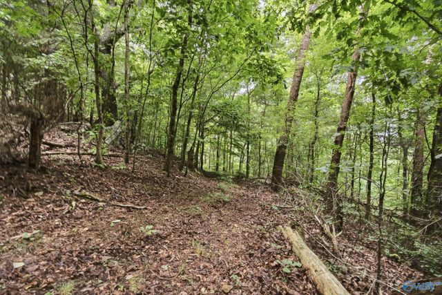 556 Edwards Circle, Laceys Spring, AL 35754