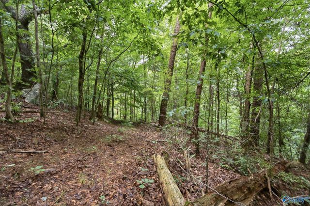 556 Edwards Circle, Laceys Spring, AL 35754