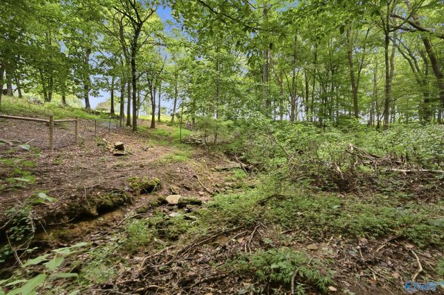 556 Edwards Circle, Laceys Spring, AL 35754
