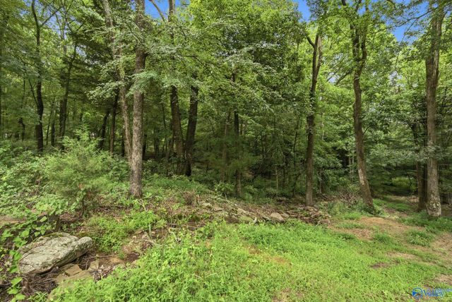 556 Edwards Circle, Laceys Spring, AL 35754