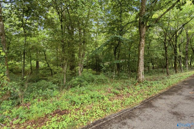 556 Edwards Circle, Laceys Spring, AL 35754