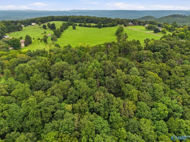 556 Edwards Circle, Laceys Spring, AL 35754