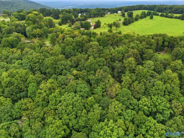 556 Edwards Circle, Laceys Spring, AL 35754