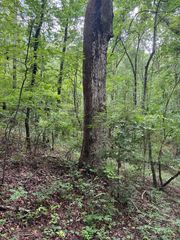 101 Indian Mountain Trail, Hamilton, GA 31811