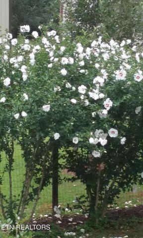 1044 Ackia Drive, Crossville, TN 38572