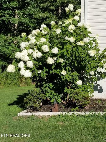 1044 Ackia Drive, Crossville, TN 38572