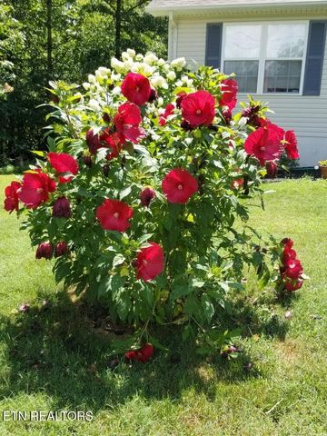 1044 Ackia Drive, Crossville, TN 38572