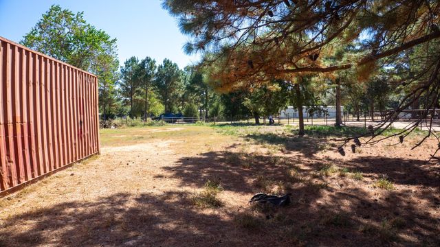 732 Ezekiel Smith Street, Waller, TX 77484