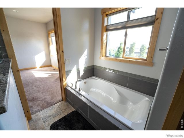 3969 Cashen Lane, Timnath, CO 80547